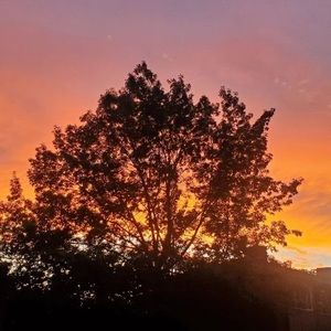 Meet your Posher, Junior